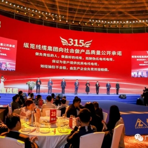 今后的家裝電線市場上，又多了一支質(zhì)量過硬的廣西鐵軍