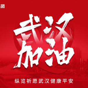 眾志成城 共克時艱 ——縱覽戰(zhàn)“疫”紀(jì)實(shí)