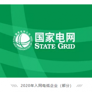 祝賀縱覽線纜集團(tuán)成功進(jìn)入國(guó)家電網(wǎng)供應(yīng)商名錄，成為廣西唯一一家進(jìn)入國(guó)網(wǎng)的電線電纜供 ...