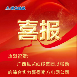 縱覽線纜集團(tuán)斬獲南方電網(wǎng)“億元標(biāo)”——以優(yōu)異成績慶賀2023全國兩會勝利召開！ ...