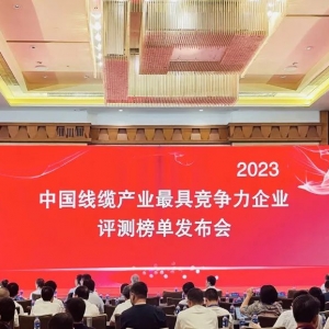 中國(guó)線纜產(chǎn)業(yè)最具競(jìng)爭(zhēng)力企業(yè)100強(qiáng)發(fā)布：縱覽線纜連續(xù)五年上榜！
